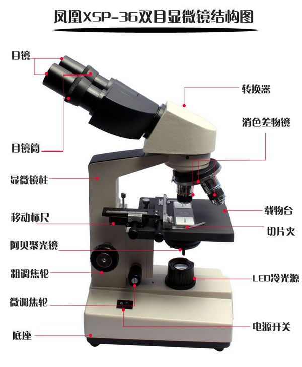 雙目微生物顯微鏡